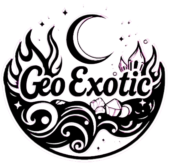 screenshot 2026 02 11 195630